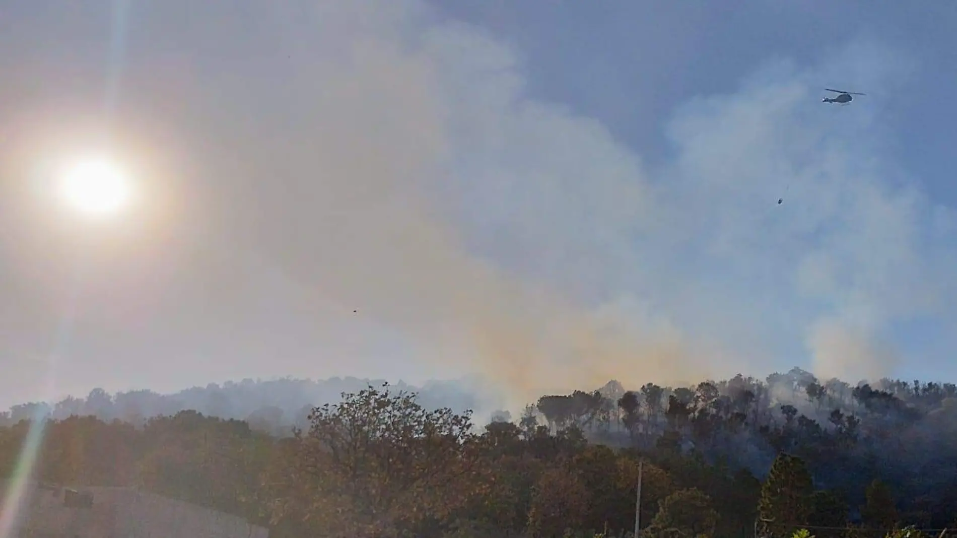 Incendio Bosque de la Primavera Semadet